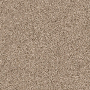 Dreamweaver Carpet Cape Cod Cashew Carpet 2540_530