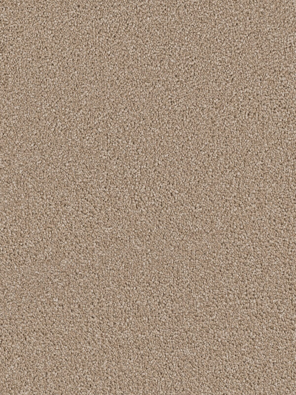 Dreamweaver Carpet Cape Cod Cashew Carpet 2540_530