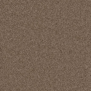 Dreamweaver Carpet Cape Cod Cocoa Carpet 2540_550