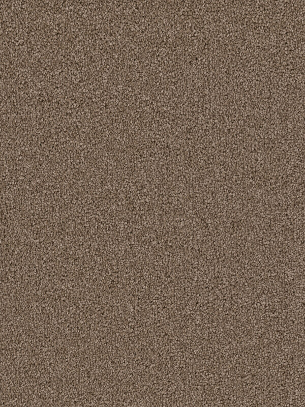 Dreamweaver Carpet Cape Cod Cocoa Carpet 2540_550