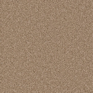Dreamweaver Carpet Cape Cod Bamboo Carpet 2540_565