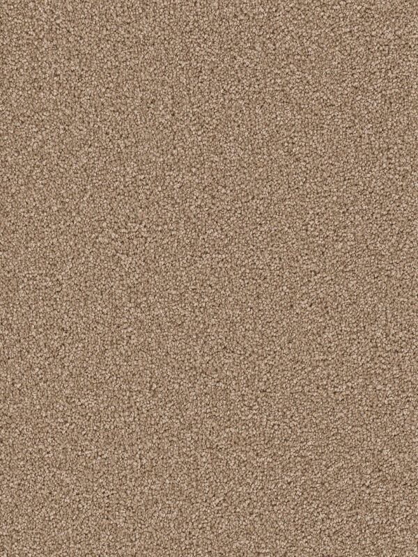 Dreamweaver Carpet Cape Cod Bamboo Carpet 2540_565