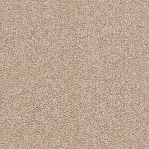 Dreamweaver Carpet Cape Cod Sand Carpet 2540_710