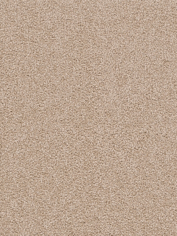 Dreamweaver Carpet Cape Cod Sand Carpet 2540_710