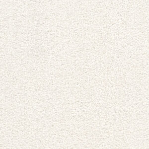 Dreamweaver Carpet Cape Cod Opaline Carpet 2540_714
