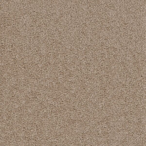 Dreamweaver Carpet Cape Cod Mushroom Carpet 2540_715