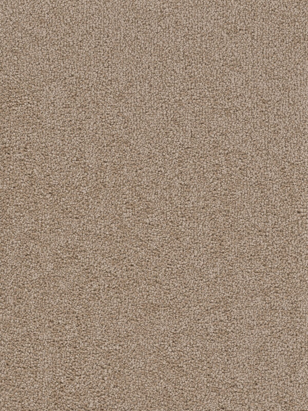 Dreamweaver Carpet Cape Cod Mushroom Carpet 2540_715