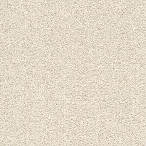 Dreamweaver Carpet Cape Cod Pearlesque Carpet 2540_716