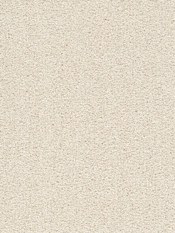 Dreamweaver Carpet Cape Cod Pearlesque Carpet 2540_716