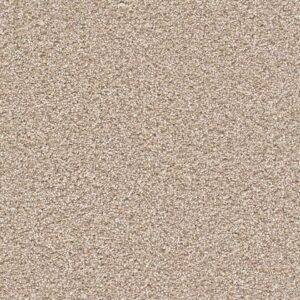 Dreamweaver Carpet Cape Cod Oxford Carpet 2540_720