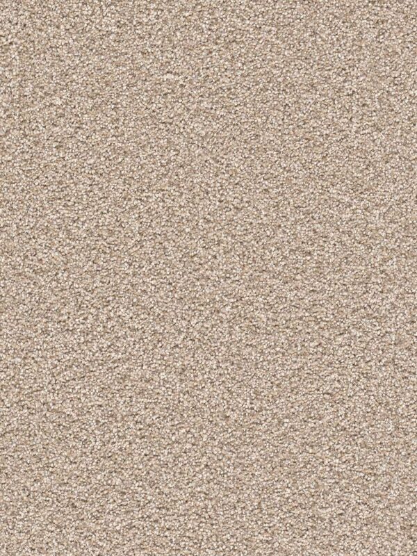 Dreamweaver Carpet Cape Cod Oxford Carpet 2540_720