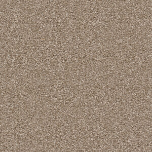 Dreamweaver Carpet Cape Cod Quail Carpet 2540_725