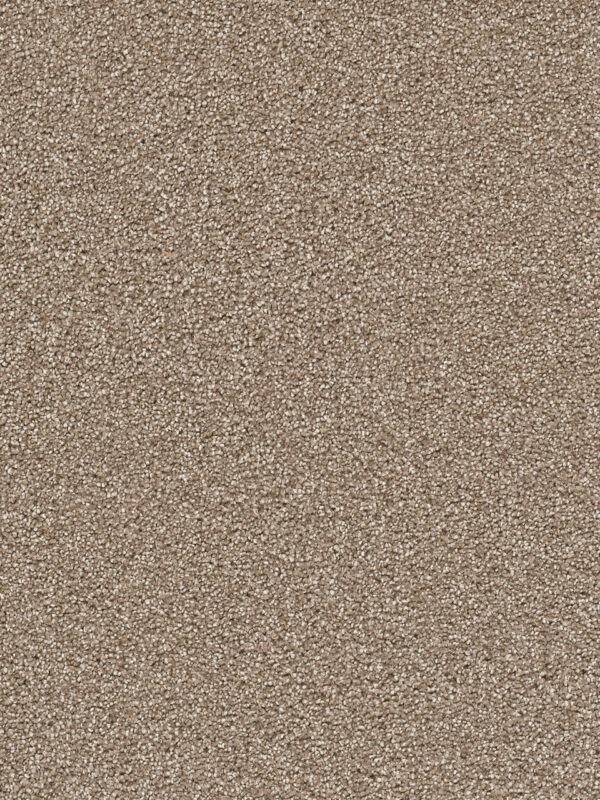 Dreamweaver Carpet Cape Cod Quail Carpet 2540_725