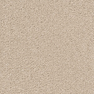 Dreamweaver Carpet Cape Cod Ivory Carpet 2540_730