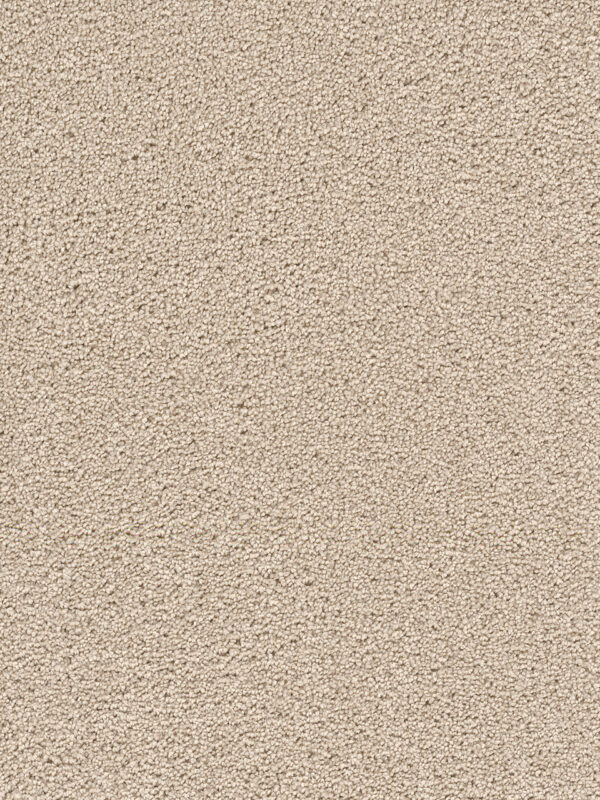 Dreamweaver Carpet Cape Cod Ivory Carpet 2540_730