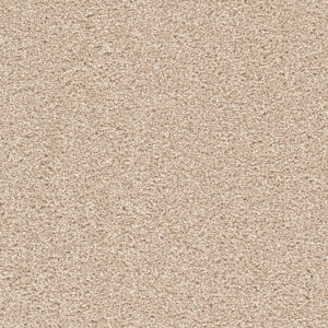 Dreamweaver Carpet Cape Cod Blush Carpet 2540_735