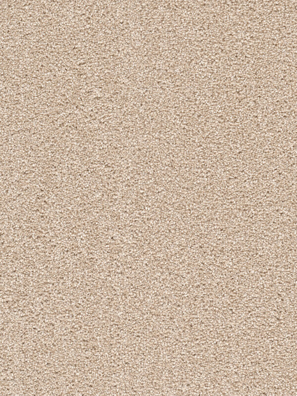 Dreamweaver Carpet Cape Cod Blush Carpet 2540_735