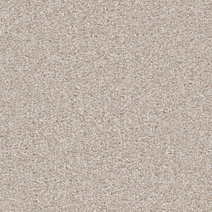 Dreamweaver Carpet Cape Cod Parchment Carpet 2540_744