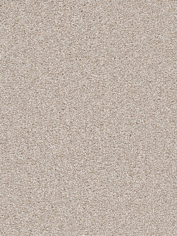 Dreamweaver Carpet Cape Cod Parchment Carpet 2540_744