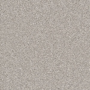 Dreamweaver Carpet Cape Cod Dove Carpet 2540_800