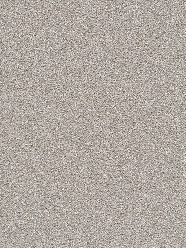 Dreamweaver Carpet Cape Cod Dove Carpet 2540_800