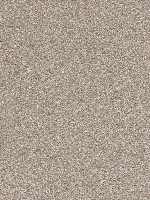 Dreamweaver Carpet Cape Cod Iron Frost Carpet 2540_815