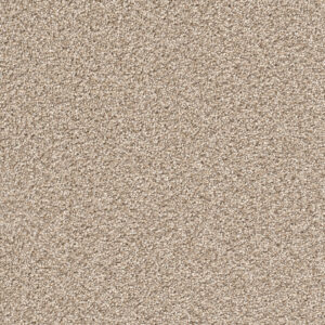 Dreamweaver Carpet Cape Cod Linen Carpet 2540_824