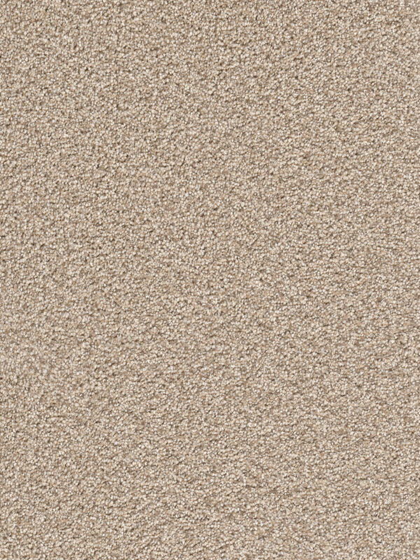 Dreamweaver Carpet Cape Cod Linen Carpet 2540_824
