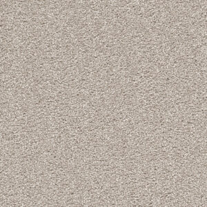 Dreamweaver Carpet Cape Cod Silver Lining Carpet 2540_830