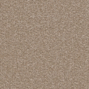 Dreamweaver Carpet Cape Cod Acorn Carpet 2540_858