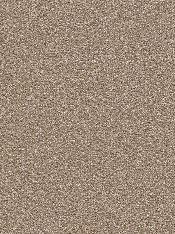 Dreamweaver Carpet Cape Cod Acorn Carpet 2540_858