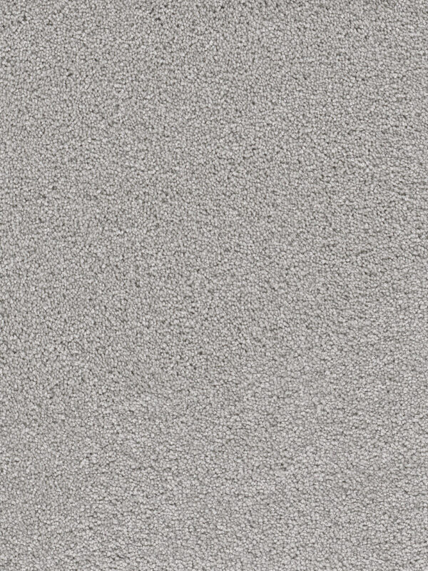 Dreamweaver Carpet Cape Cod Icicle Carpet 2540_910