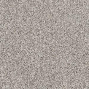 Dreamweaver Carpet Cape Cod Chrome Carpet 2540_927