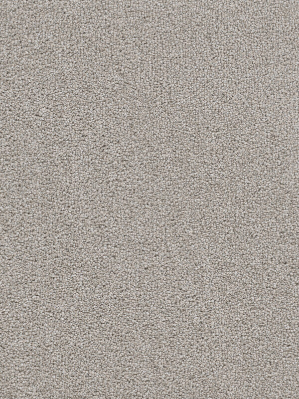 Dreamweaver Carpet Cape Cod Chrome Carpet 2540_927