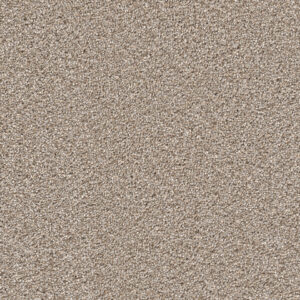 Dreamweaver Carpet Cape Cod Ash Carpet 2540_945