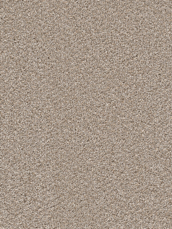 Dreamweaver Carpet Cape Cod Ash Carpet 2540_945