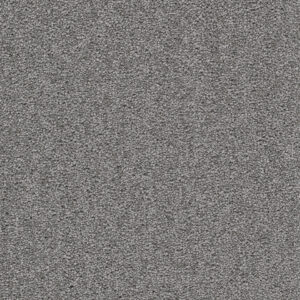 Dreamweaver Carpet Cape Cod Armor Carpet 2540_968