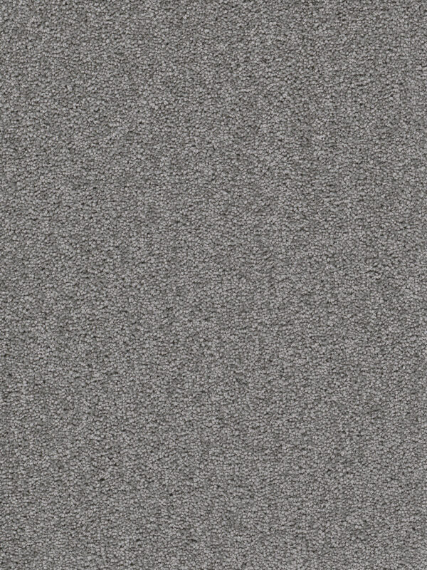 Dreamweaver Carpet Cape Cod Armor Carpet 2540_968