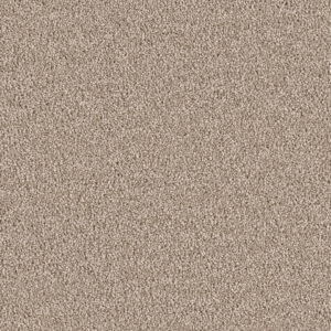 Dreamweaver Carpet East Hampton Cashew Carpet 2550_530