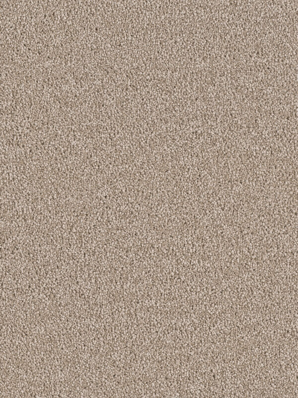 Dreamweaver Carpet East Hampton Cashew Carpet 2550_530