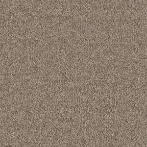 Dreamweaver Carpet East Hampton Cocoa Carpet 2550_550