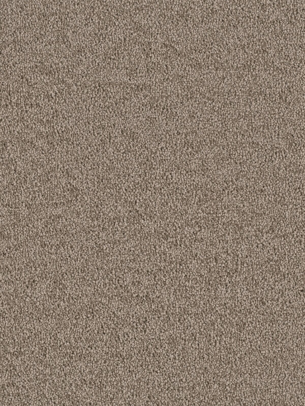 Dreamweaver Carpet East Hampton Cocoa Carpet 2550_550