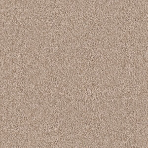 Dreamweaver Carpet East Hampton Bamboo Carpet 2550_565