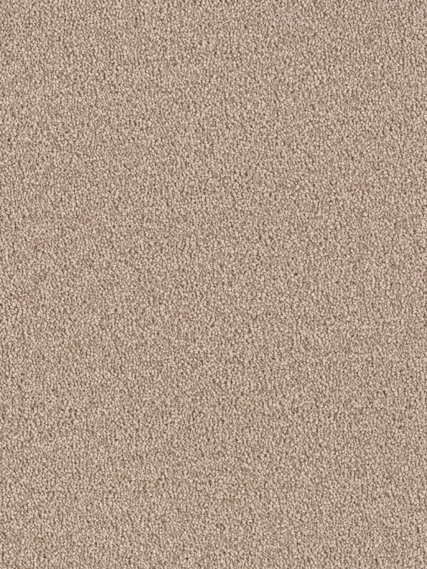 Dreamweaver Carpet East Hampton Bamboo Carpet 2550_565