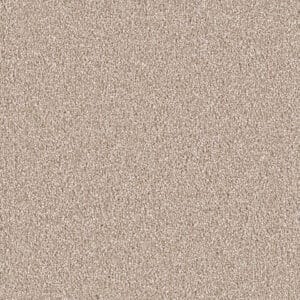 Dreamweaver Carpet East Hampton Sawgrass Carpet 2550_701