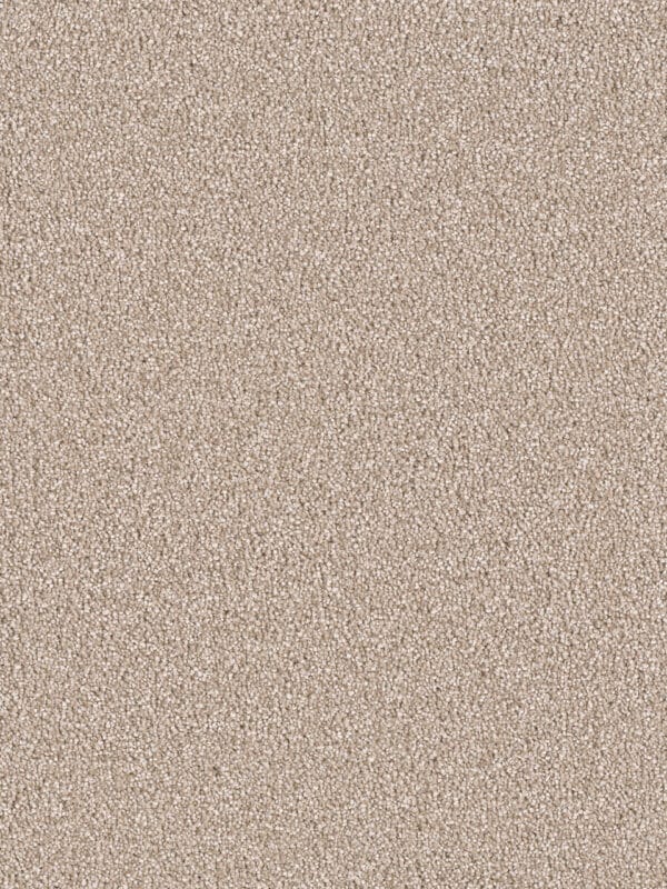 Dreamweaver Carpet East Hampton Sawgrass Carpet 2550_701