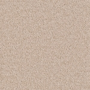 Dreamweaver Carpet East Hampton Sand Carpet 2550_710