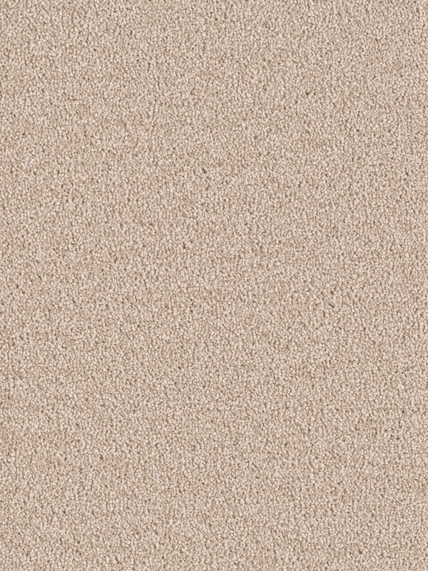 Dreamweaver Carpet East Hampton Sand Carpet 2550_710