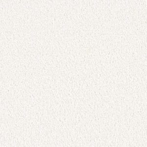 Dreamweaver Carpet East Hampton Opaline Carpet 2550_714