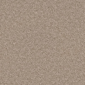 Dreamweaver Carpet East Hampton Mushroom Carpet 2550_715